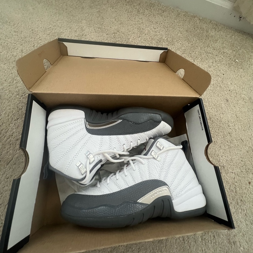 Retro 12 Jordan Sneakers